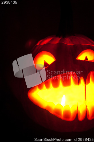 Image of Halloween pumpkin