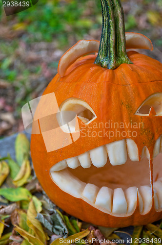 Image of Halloween pumpkin