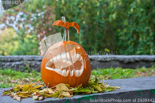 Image of Halloween pumpkin