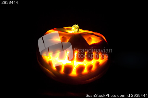 Image of Halloween pumpkin