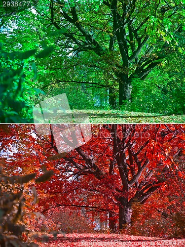 Image of Seasons