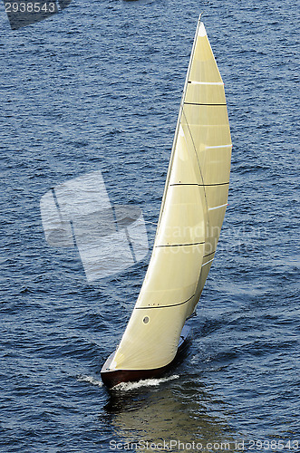 Image of sailing boat in the sea