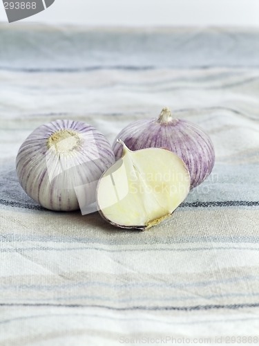 Image of Purple Garlic