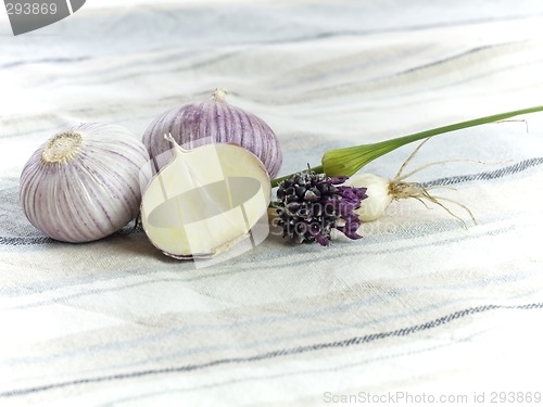 Image of Purple Garlic