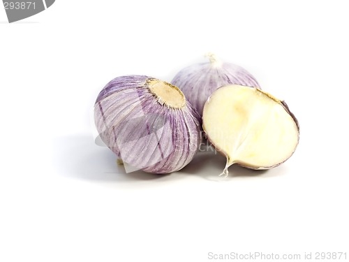 Image of Purple Garlic