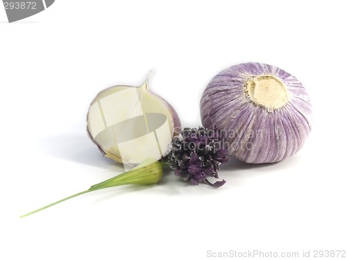 Image of Purple Garlic
