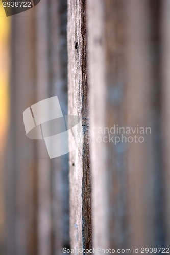 Image of Brown striped wood grain, selective focus