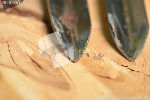 Image of metal detail closeup on wood background