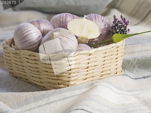 Image of Purple Garlic