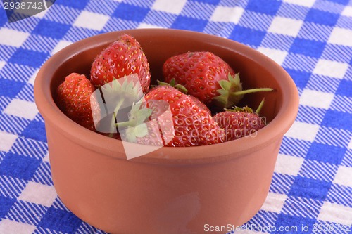 Image of Fresh organic strawberries closeup shot
