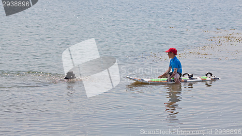 Image of Summer fun