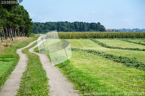 Image of Dirt road in a rural landscape