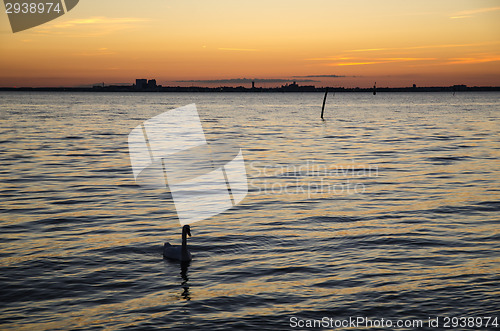Image of City skyline at sunset