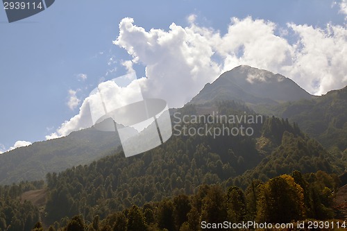 Image of Beautiful Caucasus mountains with rich forests 