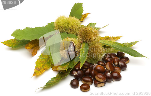 Image of chestnuts