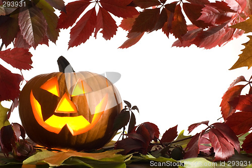 Image of halloween