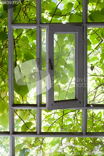 Image of window to the summer