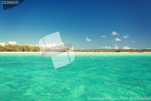 Image of blue sea or ocean, beach and forest