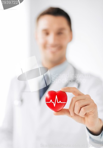Image of male doctor holding red heart with ecg line