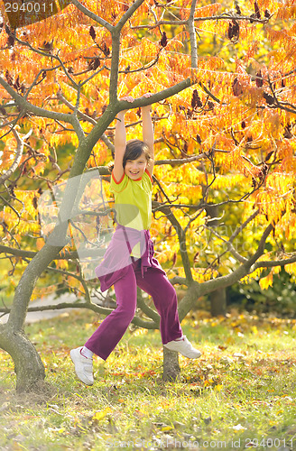 Image of little girl smiling and hanging on a branch