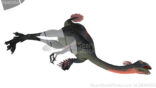 Image of Dead Dinosaur Gigantoraptor