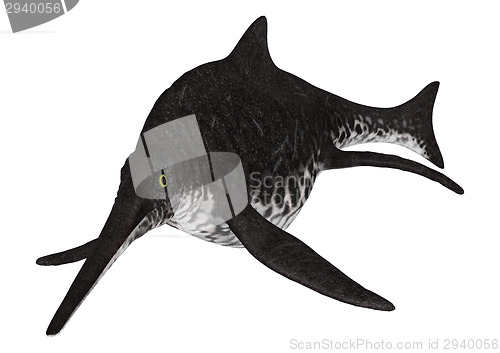 Image of Ichthyosaur Shonisaurus
