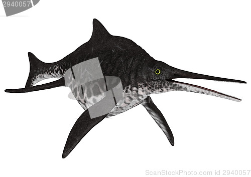 Image of Ichthyosaur Shonisaurus