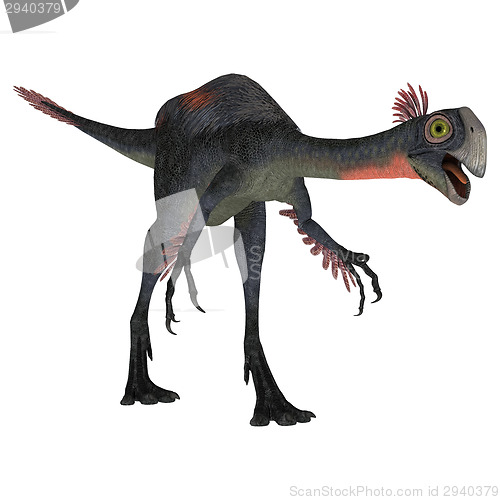 Image of Dinosaur Gigantoraptor