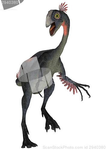 Image of Dinosaur Gigantoraptor