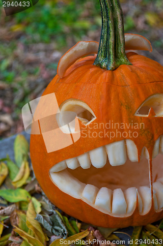 Image of Halloween pumpkin