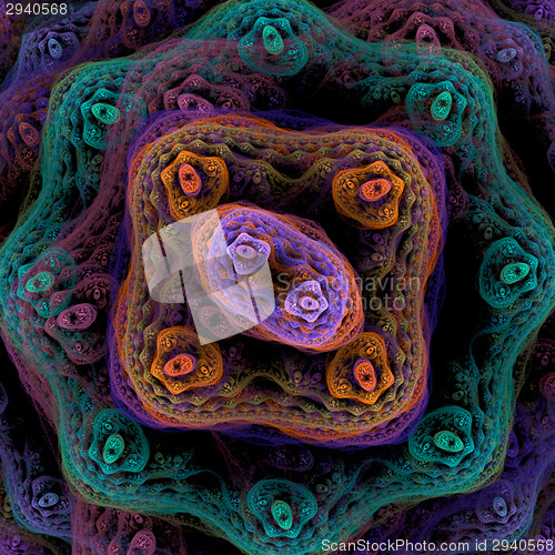 Image of Symmetrical growth of bacteria