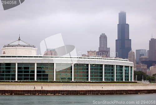 Image of The Chicago Aquarium