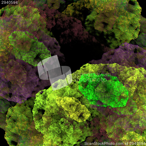 Image of Symmetrical growth of bacteria