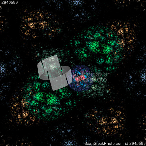 Image of Symmetrical growth of bacteria