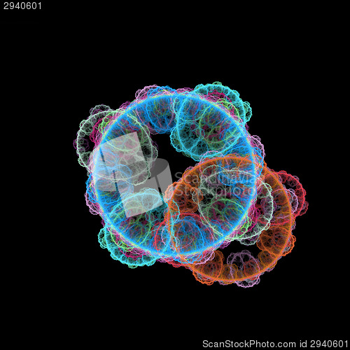 Image of Symmetrical growth of bacteria