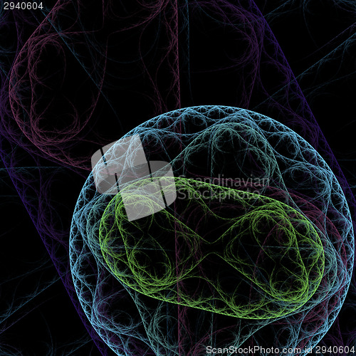 Image of Symmetrical growth of bacteria