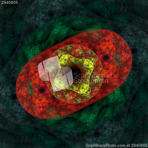 Image of Symmetrical growth of bacteria