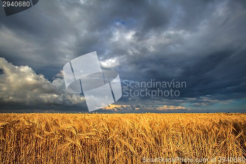 Image of summer storm