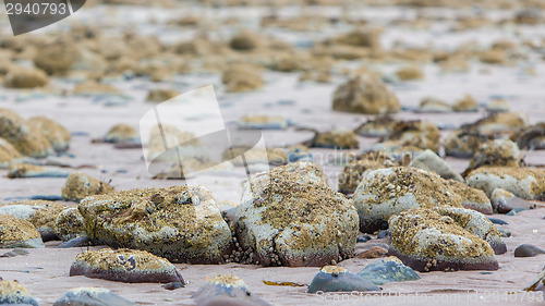 Image of Big stones on Scottish coast landscape