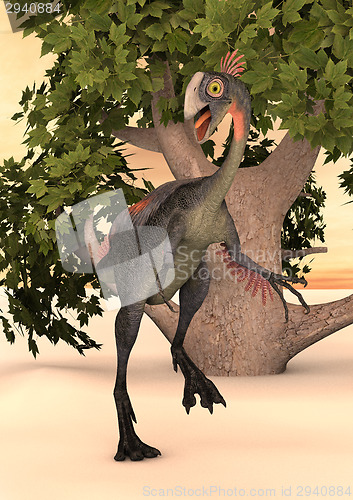 Image of Dinosaur Gigantoraptor