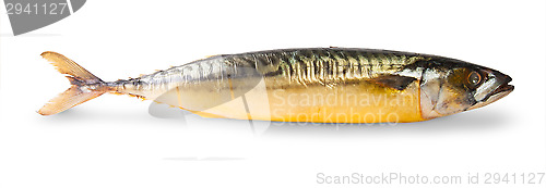 Image of The Smoked Mackerel 