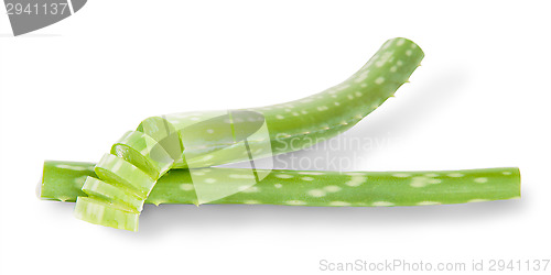 Image of Chopped Stalks Of Aloe