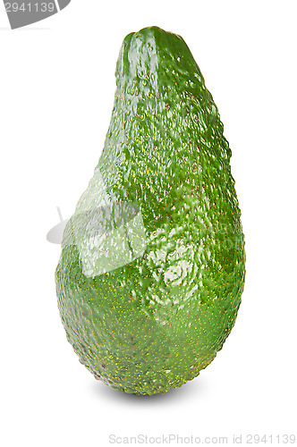 Image of Green Ripe Avocado