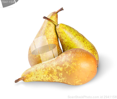 Image of Three Ripe Pears