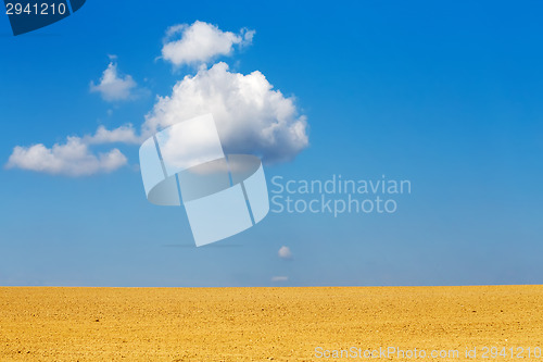 Image of Nice autumn field with white cloud, horizont and blue sky