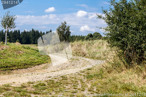 Image of rural path with trees next to meadows