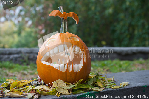 Image of Halloween pumpkin