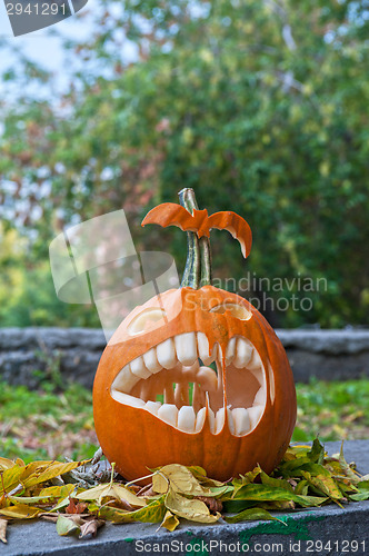 Image of Halloween pumpkin