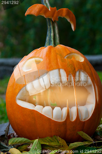 Image of Halloween pumpkin