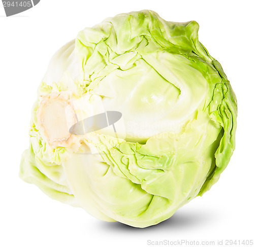 Image of Green Fresh Cabbage Rotated